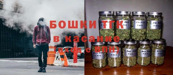 PSILOCYBIN Усмань