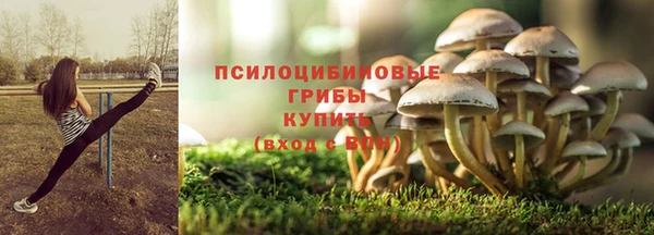 гидропоника Богданович