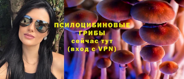 гидропоника Богданович