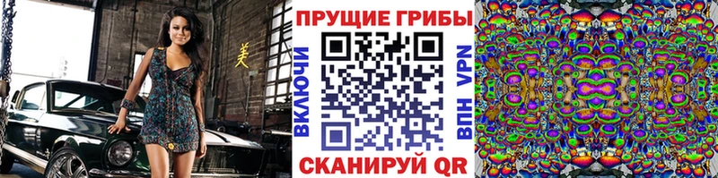 Галлюциногенные грибы Magic Shrooms  купить  цена  Красавино 